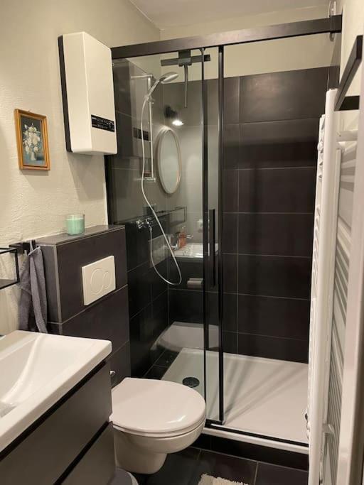 #1 Studioapartment Mit Loreleyblick Direkt An Der Schoensten Etappe Des Rheinsteigs Patersberg Экстерьер фото